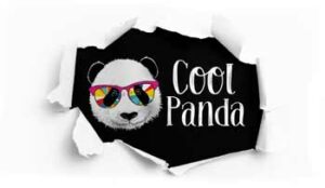 Coolpanda Logo