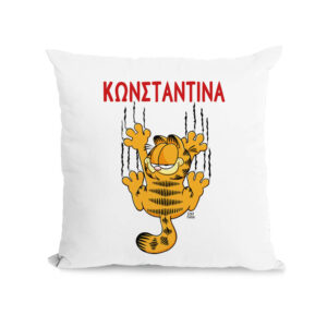 Μαξιλάρι διακοσμητικό “Garfield”